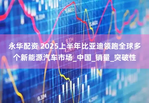 永华配资 2025上半年比亚迪领跑全球多个新能源汽车市场_中国_销量_突破性