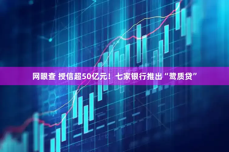 网眼查 授信超50亿元！七家银行推出“鹭质贷”